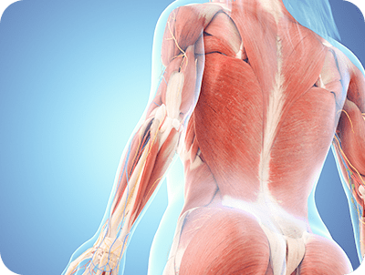 東洋医学×筋神経アプローチ